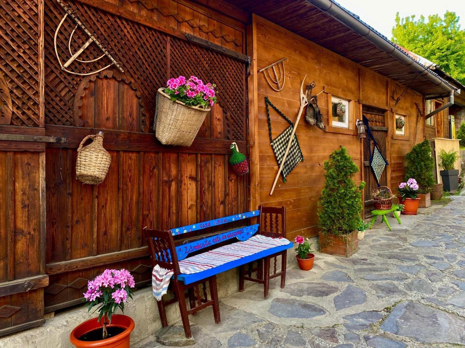 Hotel Casa Leca Breb Exterior foto